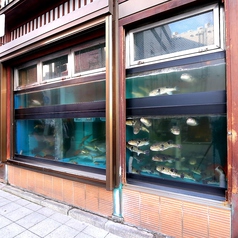 店内には大型生け簀も完備！生け簀で泳ぐ活魚の活け造りは2次加工も無料！揚物、焼物、汁物までお客様のお好みに合わせてご提供致します。【ふぐ/テイクアウト/活魚/お食事/魚/海鮮/個室/居酒屋/飲み放題/日本酒/接待/鍋/都町】