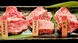 【新宿西口の焼肉酒場】ホルモン・お肉をタレで味変！