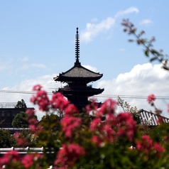 南側の窓からは法観寺・八坂の塔をご覧いただく事が出来ます。春~秋の日差しが差し込む日はブラインドを閉めさせていただく場合がございます。