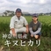 10．神奈川県座間市産 特別栽培米「キヌヒカリ」【生産者：座間ゆたか農園】