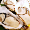 料理メニュー写真&nbsp;殻付き生牡蠣