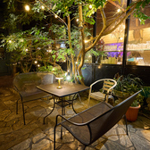 Trattoria ALBERO トラットリア アルベロの雰囲気3