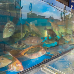 大衆食堂魚かねのコース写真
