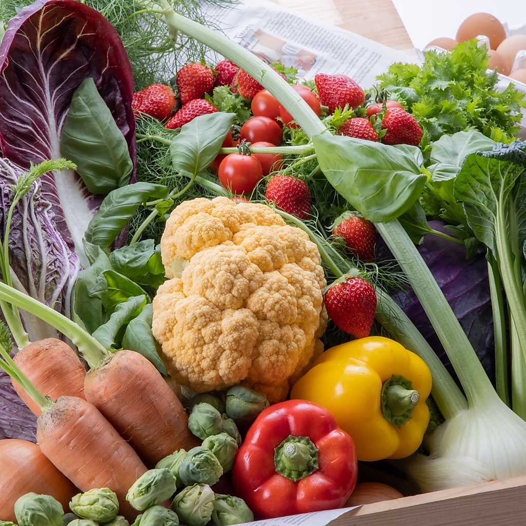 契約農家から届く新鮮な旬野菜のサラダが付いたランチセットは、ヘルシー志向の女性にも大人気！