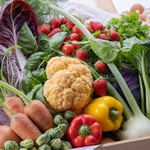 契約農家から届く新鮮な旬野菜のサラダが付いたランチセットは、ヘルシー志向の女性にも大人気！