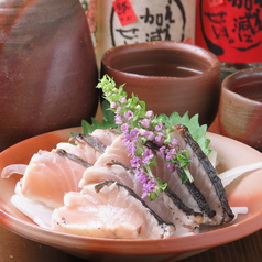 おいしいビールの居酒屋 駄々 だだの特集写真