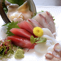 【絶品おつまみ】お酒が進むバラエティ豊かな酒の肴♪