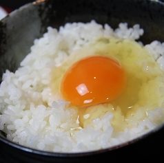 日本一「美豊卵」の卵かけごはん