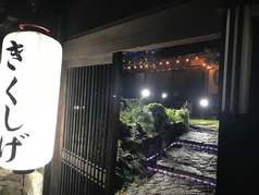 きくしげの写真