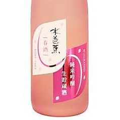 水芭蕉　春酒 純米吟醸