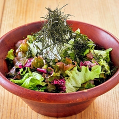 海苔の芽吹きりサラダ