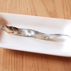 子持ちししゃも