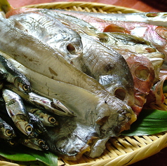 干物各種（ぼうぜ、かます、太刀魚、いわし、等…）の写真