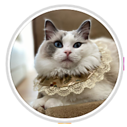 LJtFNEKOTAMA-minimum