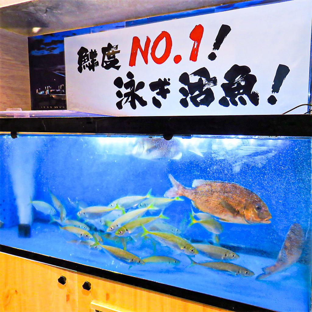 ご注文してから捌く活魚をどうぞ存分お楽しみください！！