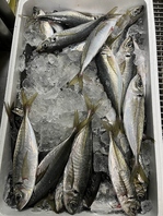 その日、美味しいものをご提供