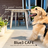 Blue 3CAFE ブルースリーカフェのおすすめポイント1