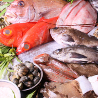 瀬戸内の新鮮な魚介類