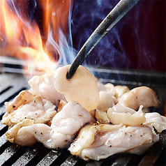 大衆焼肉GYUJIN名駅本店のコース写真