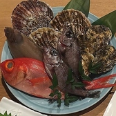 魚にこだわっているので、魚料理は食べていただきたいです。お造りや唐揚げ、おつまみなど、どれもこだわってつくった自慢の一品です。メニューは本日のおすすめ品を揃えているので、お酒と一緒に自由に楽しんでいただけたらと思います。