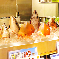 豊洲直送！こだわりの海鮮をどうぞ。
