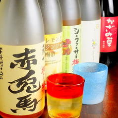 焼酎ダイニング 味音 AJITO 藤沢の特集写真