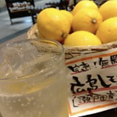 広島レモン生絞りサワー