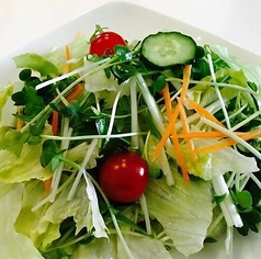 野菜サラダ
