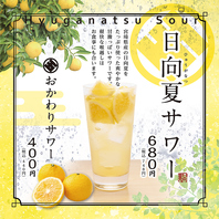 【期間限定ドリンク】宮崎県産　日向夏サワー