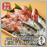 料理長が厳選した一級品、旬の海の幸が魅せる至高の海鮮