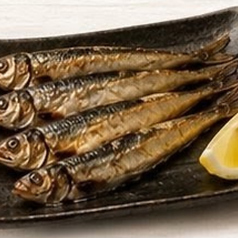 バルト海イワシ