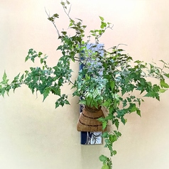 新緑の清々しさをお客様へ。溢れんばかりのコゴメウツギの可憐な花を。