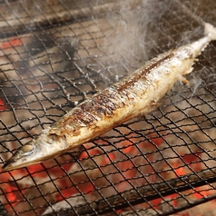 ライブ感たっぷりで楽しめる炉端焼き