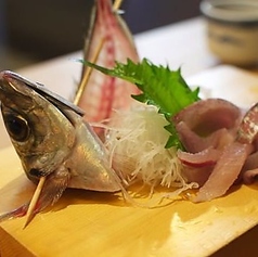 活きアジ