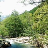 伊東市大室山と一碧湖の途中にお店はあります。伊豆高原の大自然もご満喫いただけます。