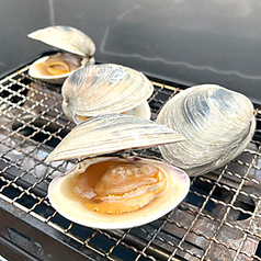 【ホンビノス貝】白蛤の殻焼き 1個