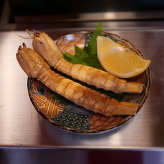 シャコ