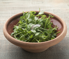 グリーンサラダ