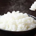 料理メニュー写真&nbsp;ライス(中)