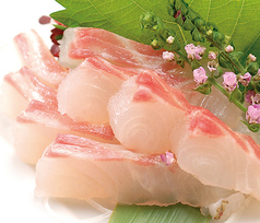 鯛刺し