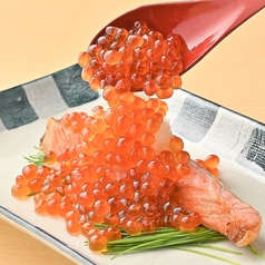 個室居酒屋 和菜美 名古屋駅店特集写真1