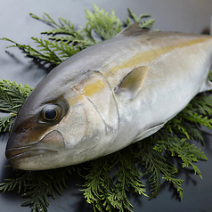 海鮮個室酒場 伊まり 札幌駅南口店のおすすめ料理2