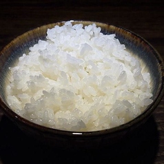 ごはん