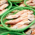 近江町市場から仕入れる新鮮な魚介をシンプルに味わう。