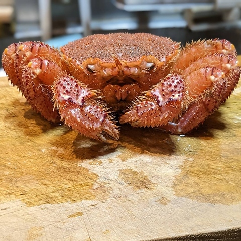 鮨天ぷら かへえの写真