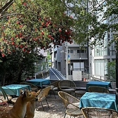 渋谷・明治神宮前エリアに位置する隠れ家レストランです。木々に囲まれたテラス席があり、都会の喧騒を忘れさせる心地よい空間を提供しています。テラスは、柔らかな照明に照らされ、リラックスした雰囲気の中でお食事を楽しむことができます。お席は、少人数から大人数まで対応可能で、カジュアルな集まりにも最適です。