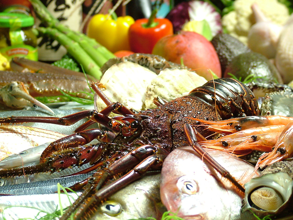 【コース】おかんやのお薦めと人気料理のつまったコースは旬を存分に楽しめます。