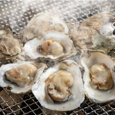 かき焼き 海鮮焼 海道丸のコース写真