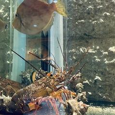 宮崎 居酒屋 郷土料理 銀天ゆずや(完全個室)の写真2