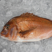 新鮮な鮮魚を年中無休で宇和島から毎日直送